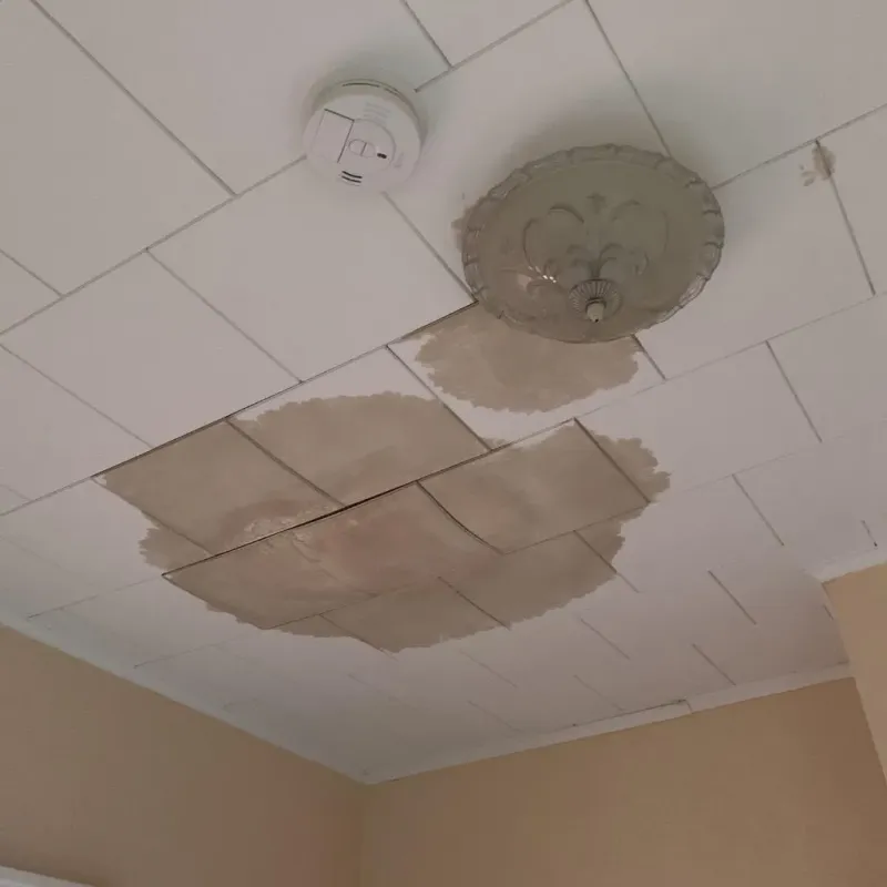 Ceiling Water Damage Repair in Milford, NE