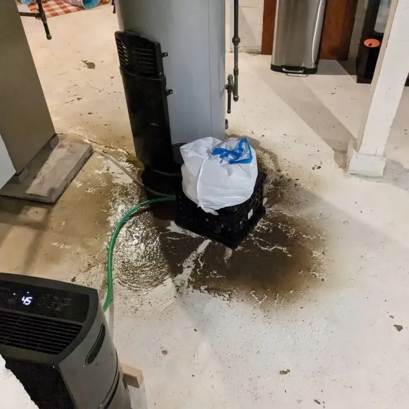 Sewage Backup Cleanup Service in Milford, NE